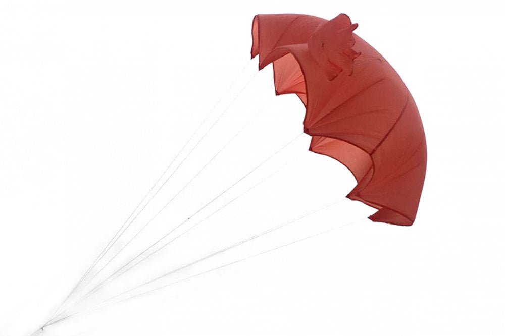 Parachute with Strap